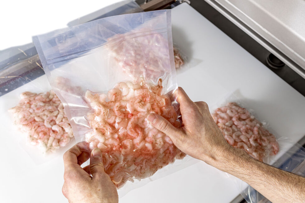 Double Chamber Professional Vacuum Sealer Sipromac